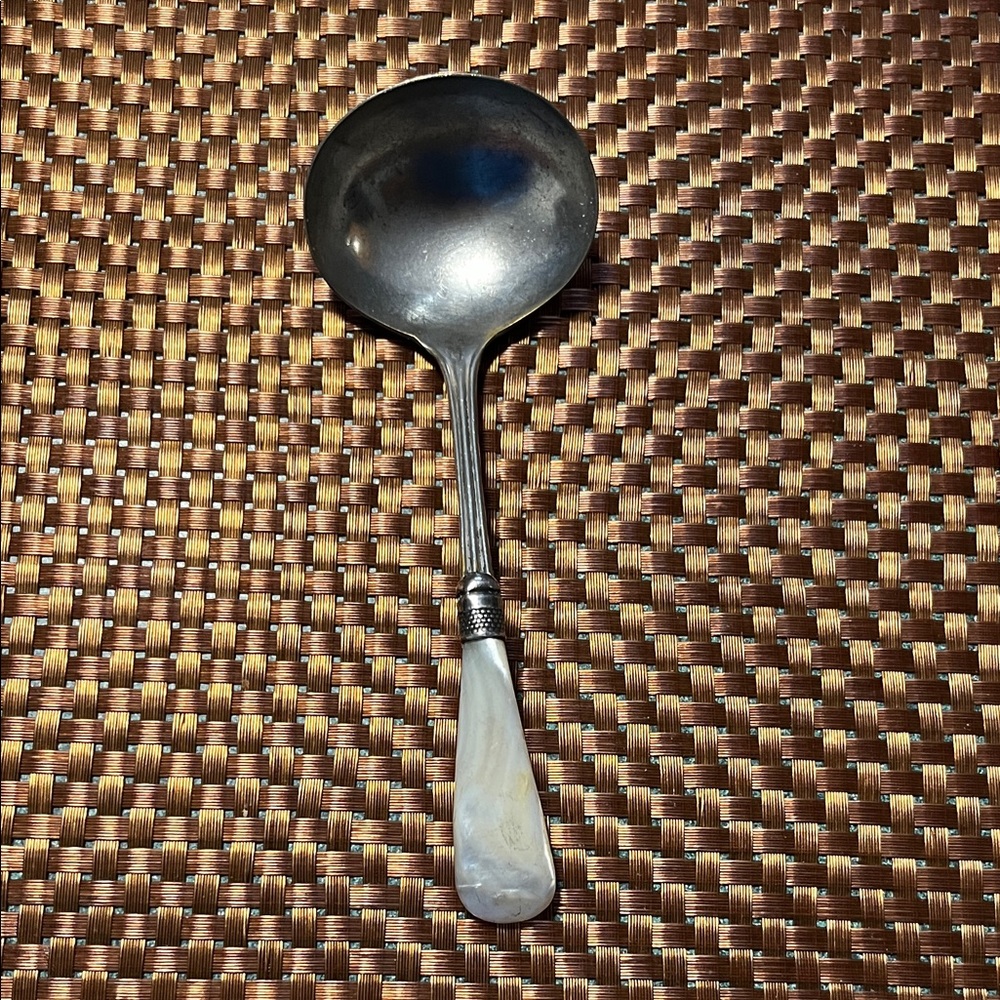 Elegant Mother of  pearl handle Serving Spoon/ ladle